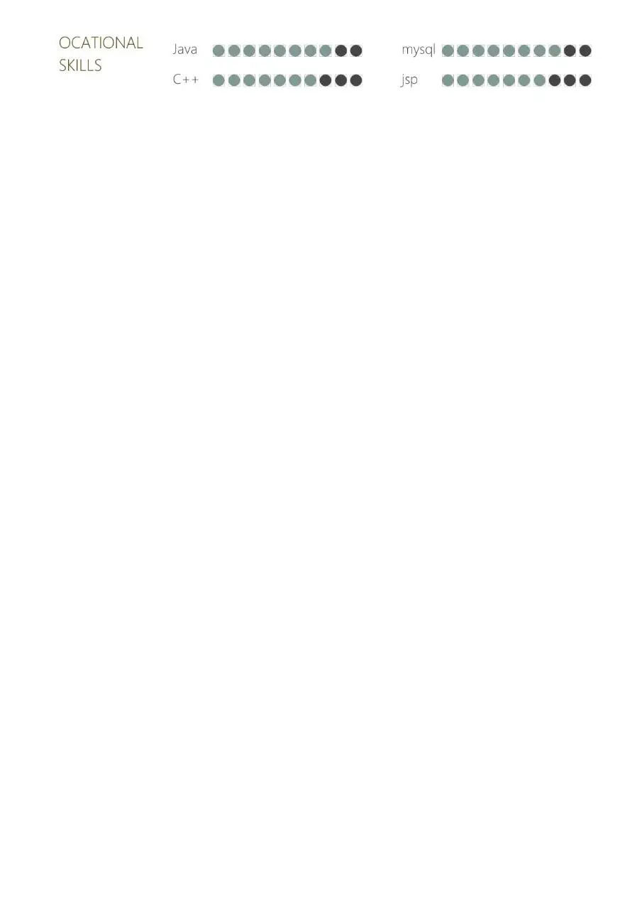 Java开发工程师求职个人简历Word模板 - 第2页