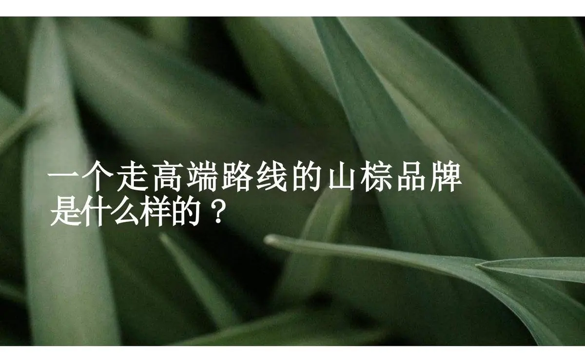 欢颜全新子品牌山棕系列品牌策划全案PPT模板 - 第15页