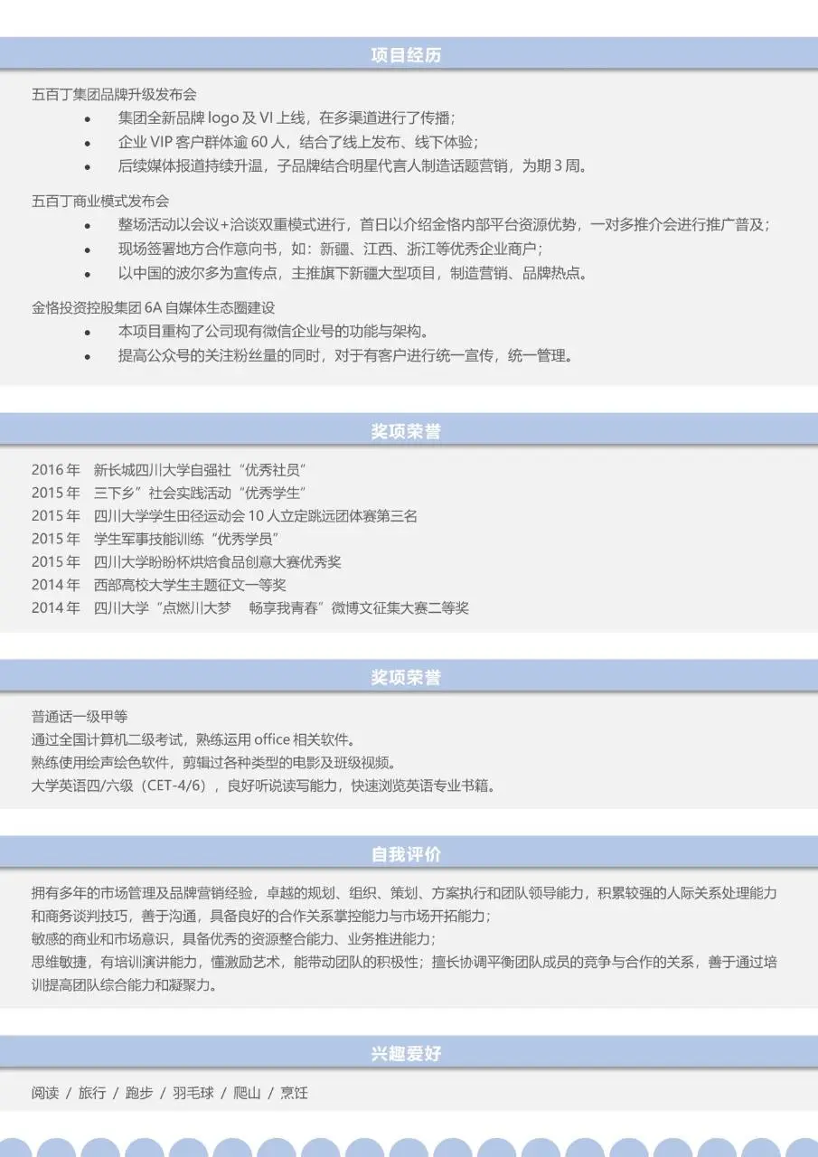 市场总监岗位求职个人简历Word模板 - 第2页