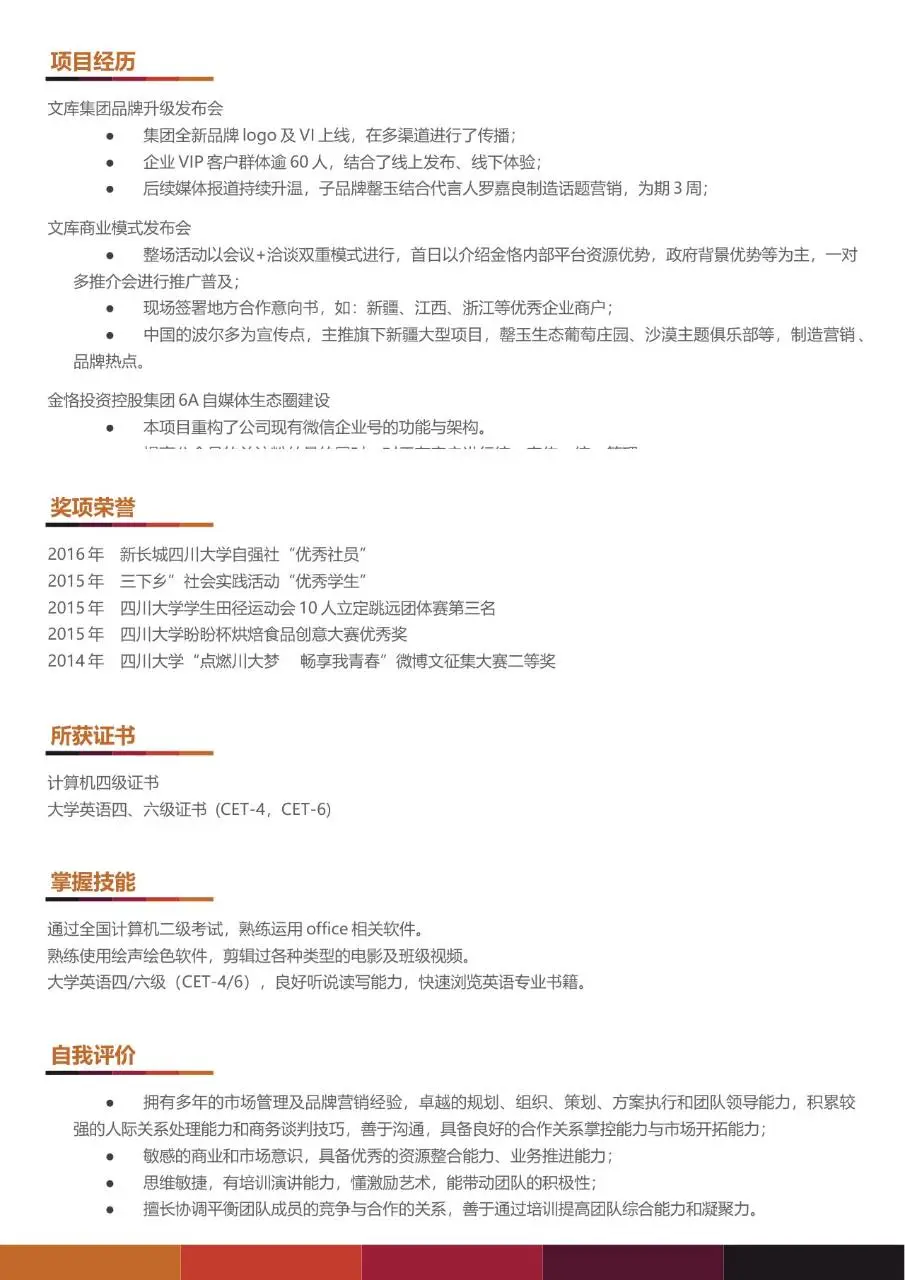 市场总监品牌方向求职简历Word模板 - 第2页