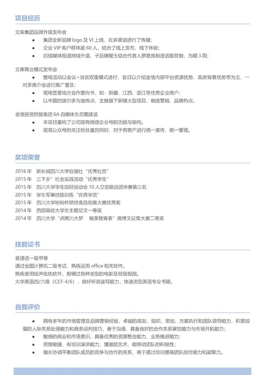 市场总监品牌方向求职简历Word模板 - 第2页