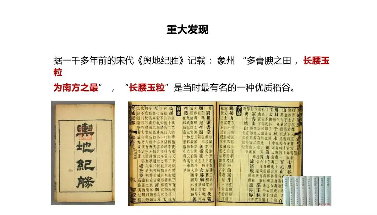 康华有机米产品品牌策划方案PPT模板 - 第11页