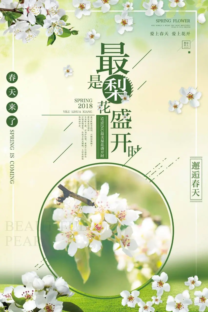 最是梨花盛开时春季赏花主题宣传海报PSD设计素材 - 第1页