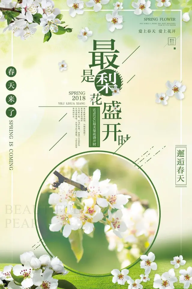 最是梨花盛开时春季赏花主题宣传海报PSD设计素材 - 封面预览