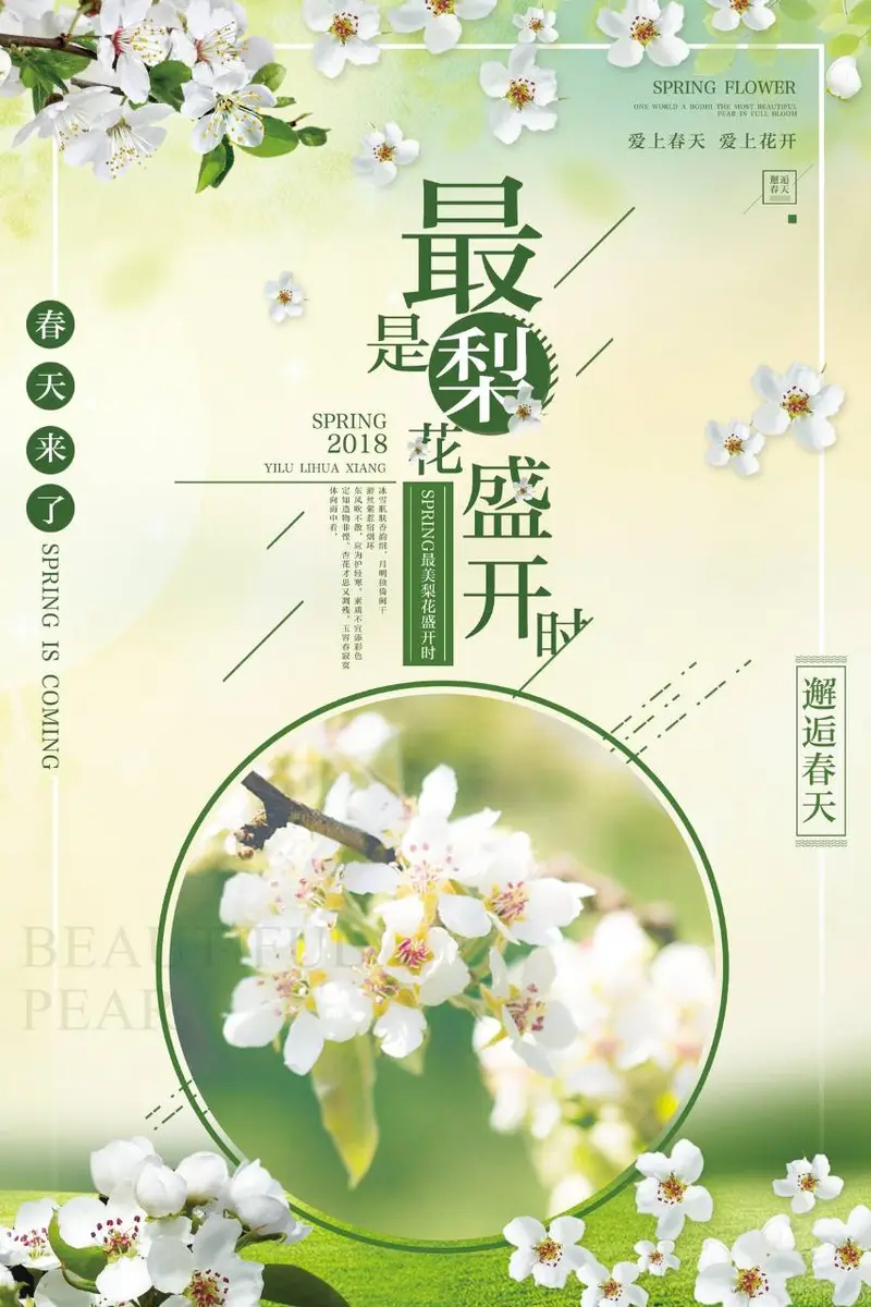 最是梨花盛开时春季赏花主题宣传海报PSD设计素材 - 封面预览