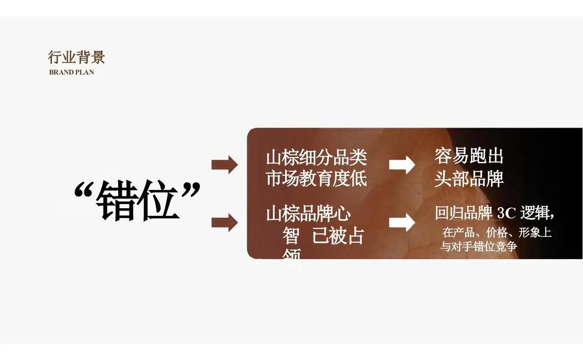 欢颜全新子品牌山棕系列品牌策划全案PPT模板 - 第9页