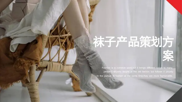 袜子产品策划方案PPT模板 时尚服饰品类营销推广演示文稿 - 封面预览