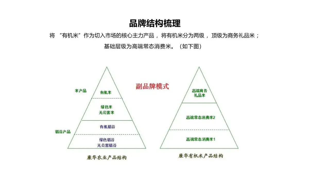 康华有机米产品品牌策划方案PPT模板 - 第9页