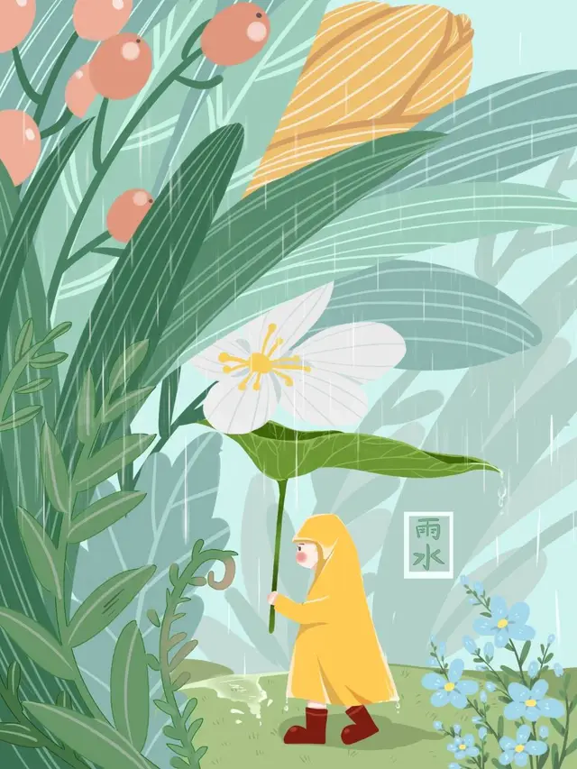 清新雨水节气手绘插画海报PSD设计素材 - 封面预览