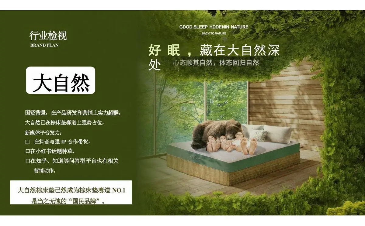 欢颜全新子品牌山棕系列品牌策划全案PPT模板 - 第4页