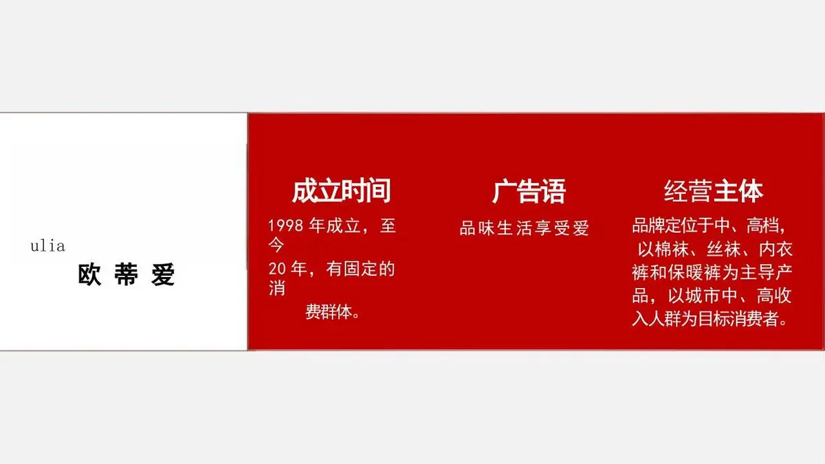 袜子产品策划方案PPT模板 时尚服饰品类营销推广演示文稿 - 第2页