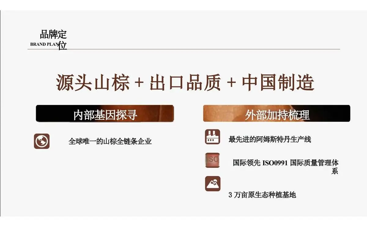 欢颜全新子品牌山棕系列品牌策划全案PPT模板 - 第13页