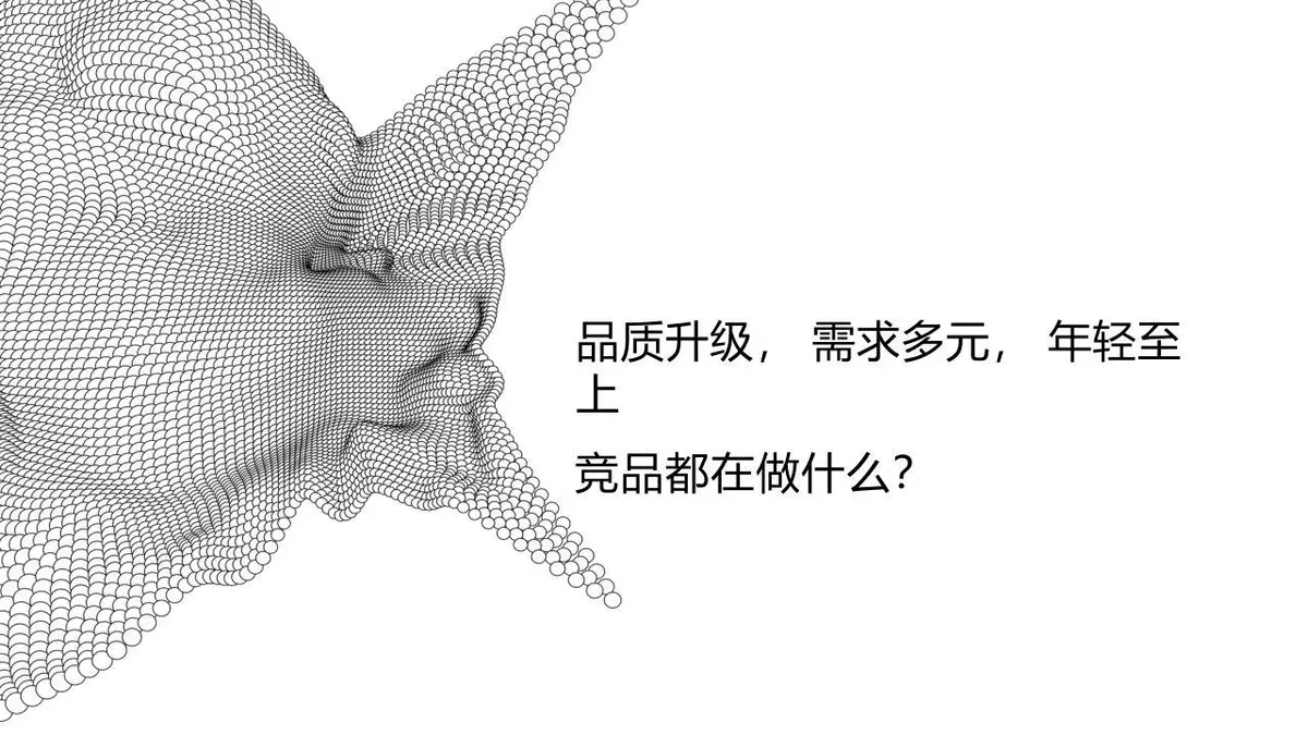 恣在家品牌升级策略方案PPT模板 - 第7页