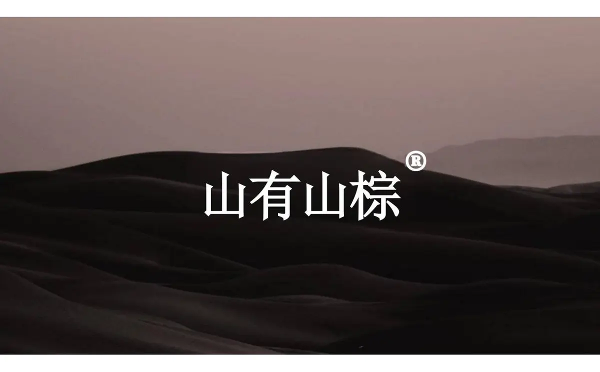 欢颜全新子品牌山棕系列品牌策划全案PPT模板 - 第17页