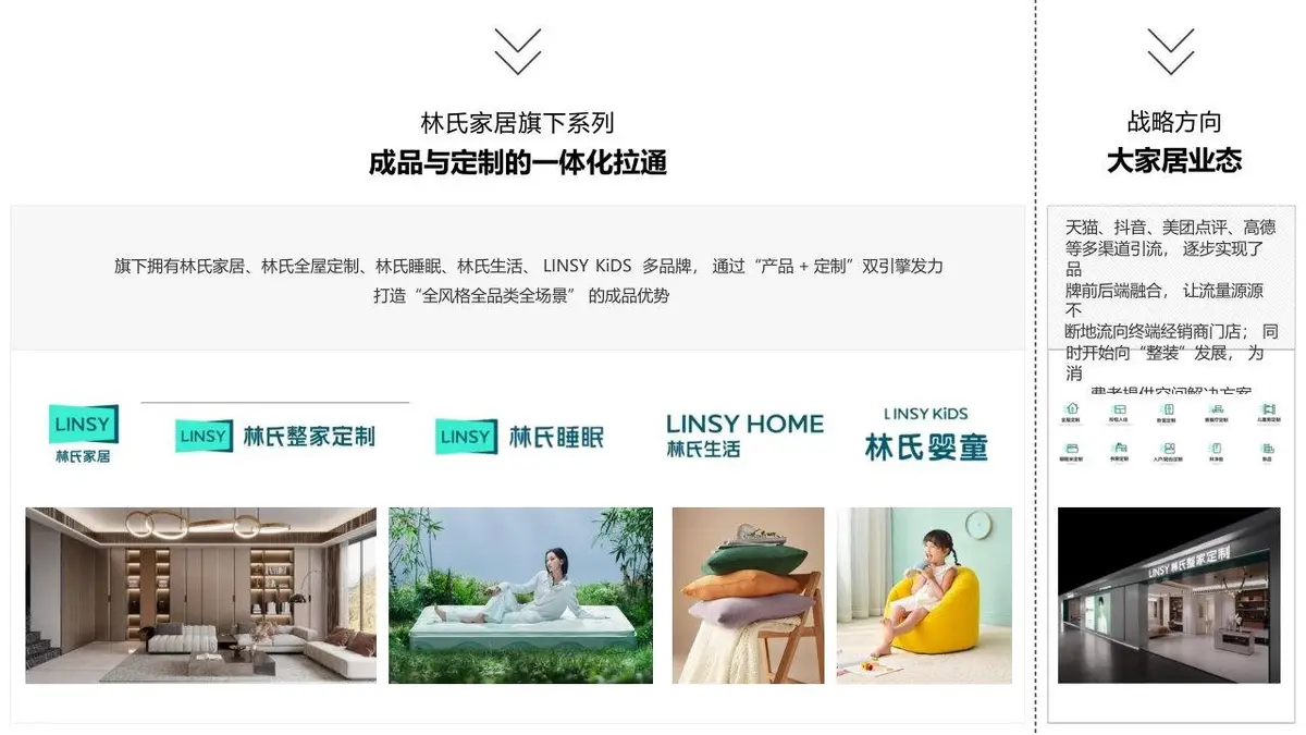 恣在家品牌升级策略方案PPT模板 - 第12页