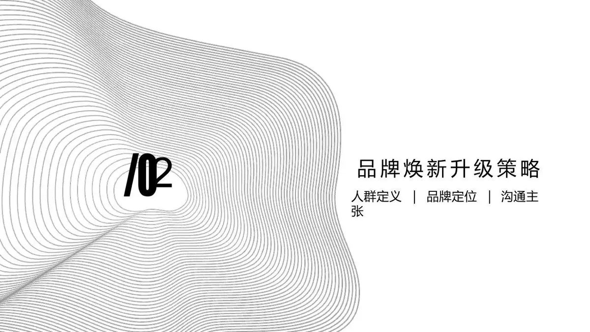 恣在家品牌升级策略方案PPT模板 - 第23页