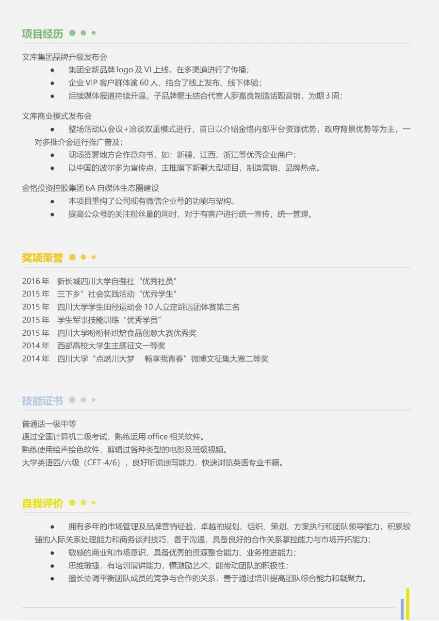 市场总监品牌方向求职简历Word模板 - 第2页
