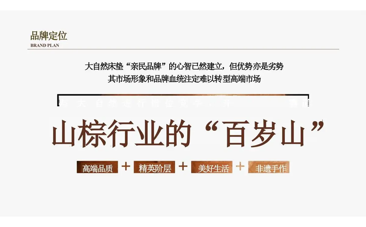 欢颜全新子品牌山棕系列品牌策划全案PPT模板 - 第11页
