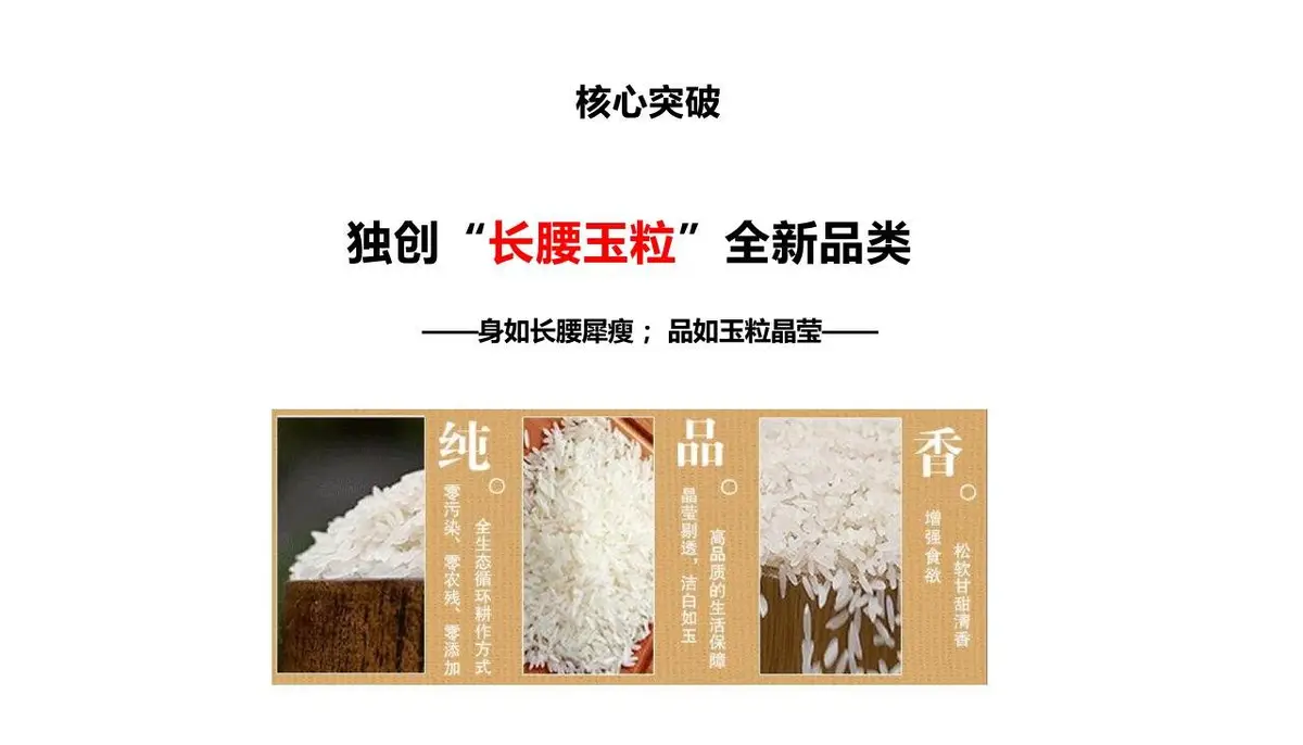 康华有机米产品品牌策划方案PPT模板 - 第12页