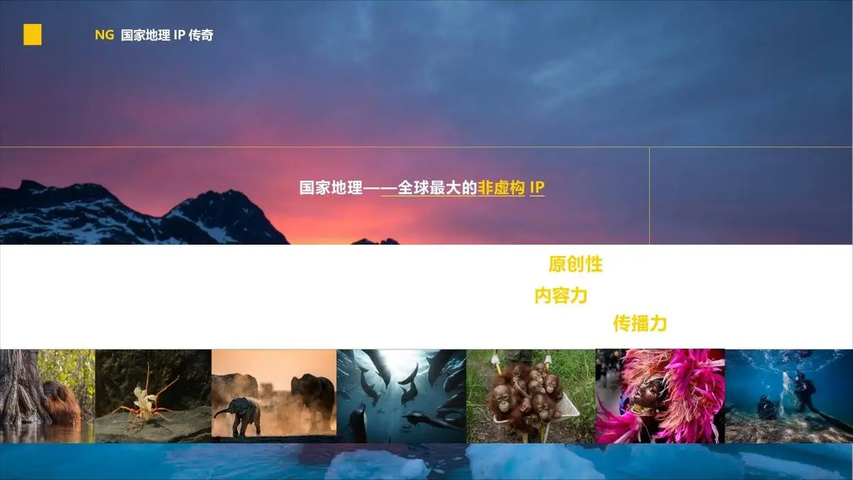 国家地理风格自然风景主题通用PPT背景模板 - 第7页