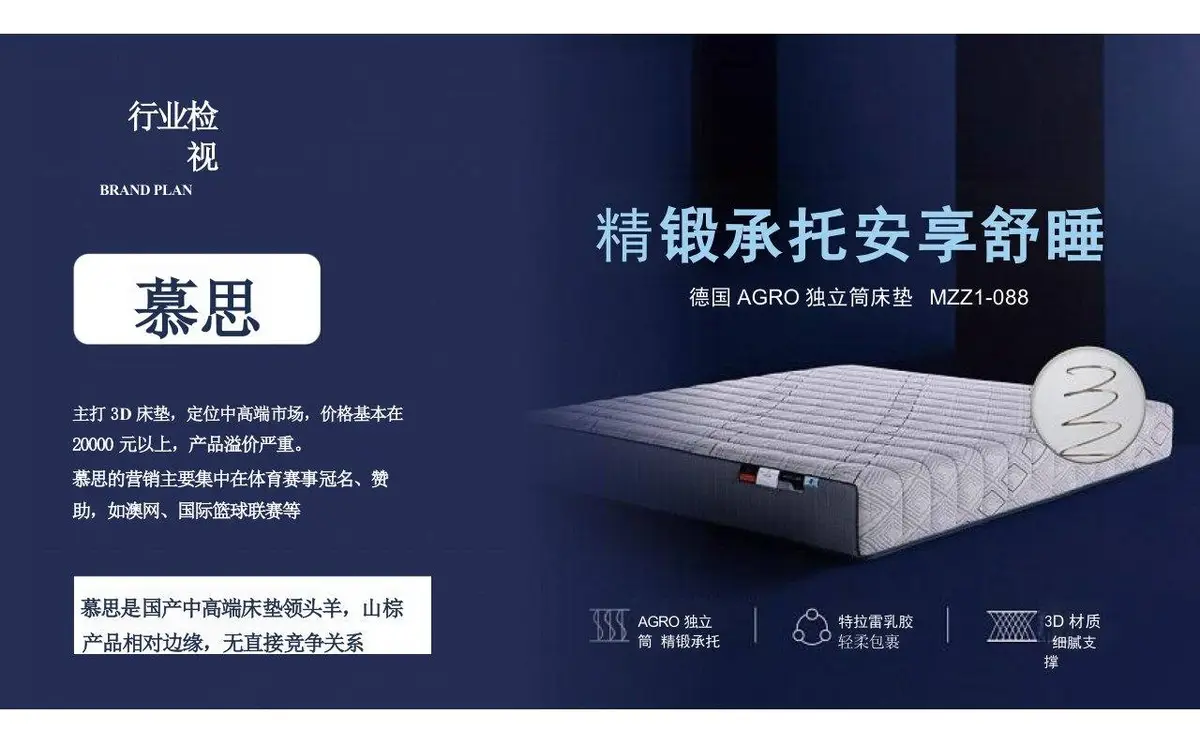 欢颜全新子品牌山棕系列品牌策划全案PPT模板 - 第5页