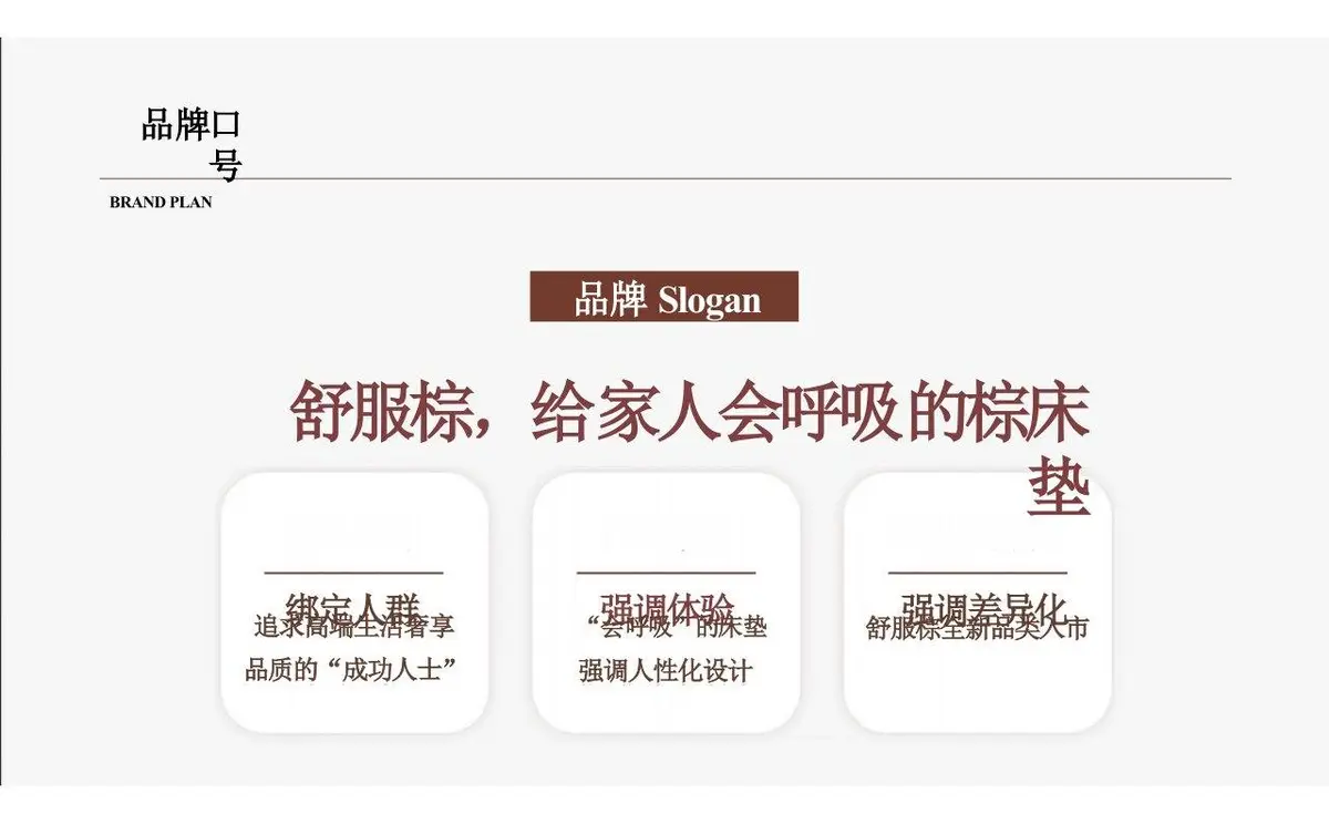 欢颜全新子品牌山棕系列品牌策划全案PPT模板 - 第21页