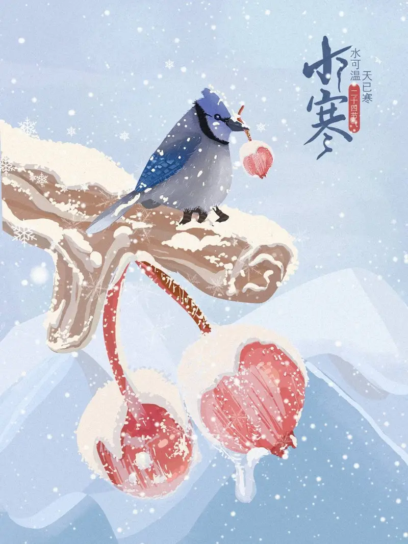 二十四节气小寒主题手绘插画风格节日宣传海报PSD素材 - 封面预览