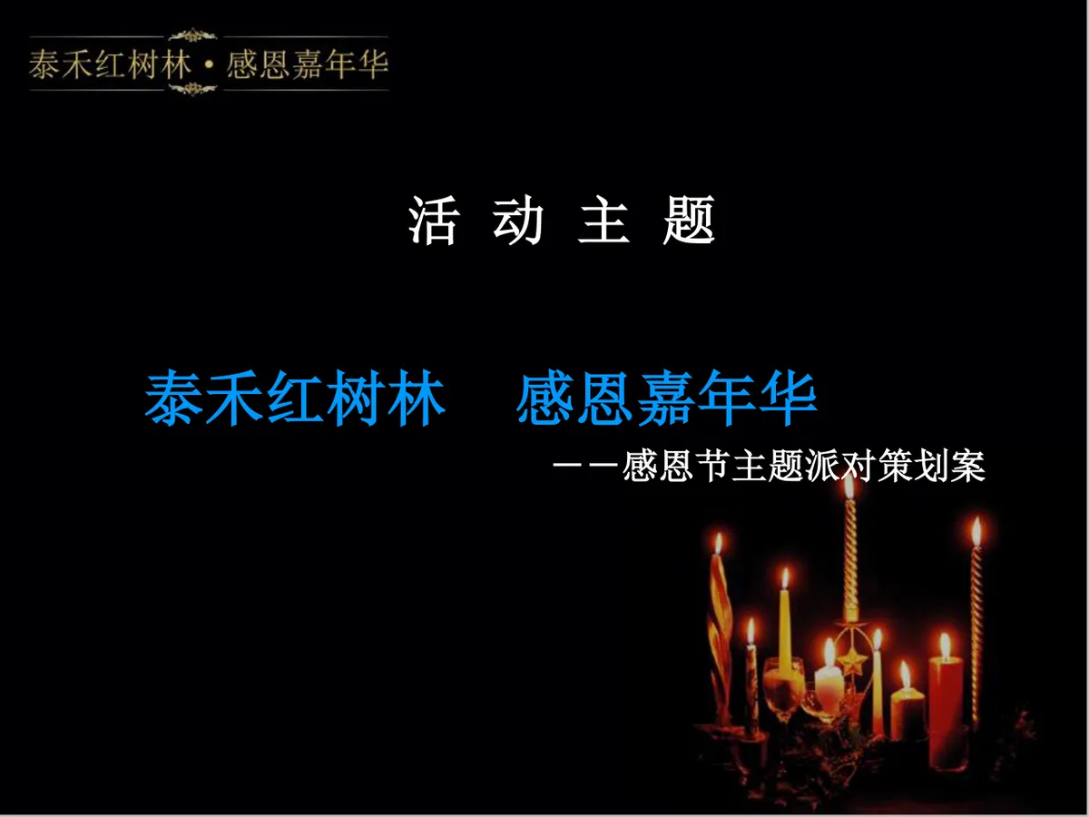 泰禾红树林感恩嘉年华活动策划方案PPT模板 - 第4页
