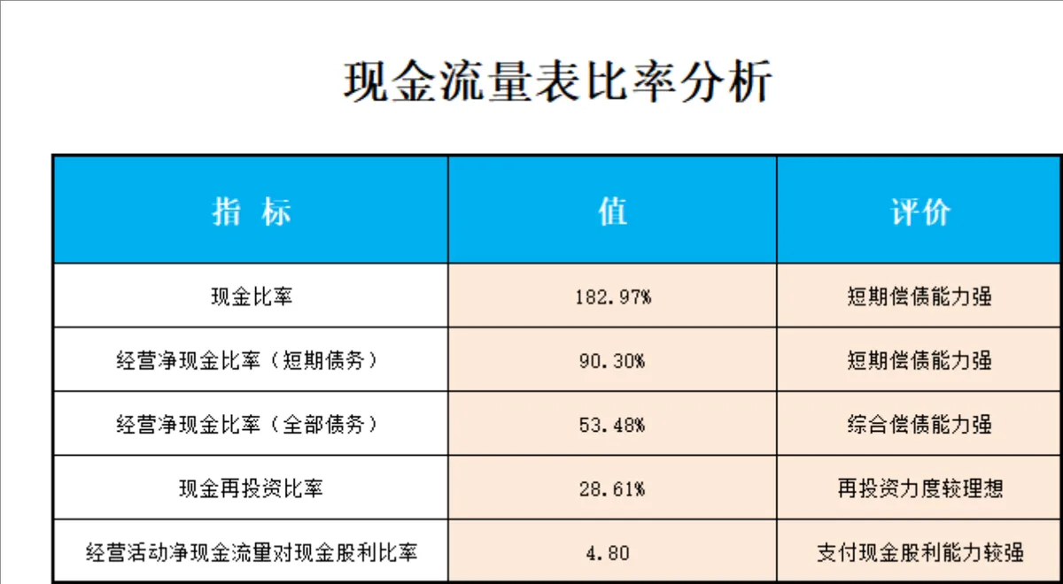 企业资产负债表与现金流量表全套财务管理Excel表格 - 第3页