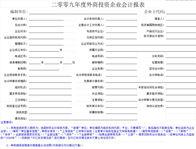外商投资企业年度会计报表Excel财务统计表格 - 封面预览