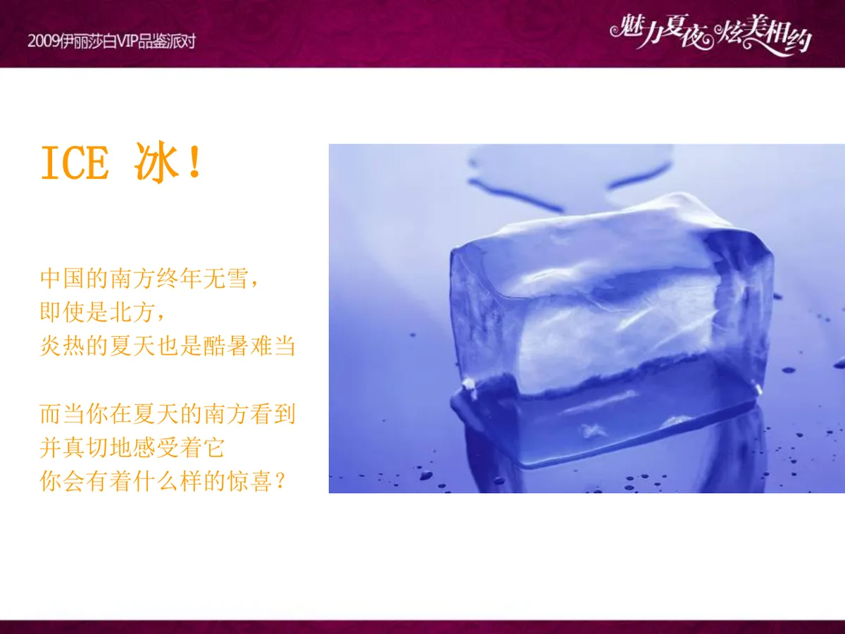 魅力夏夜炫美相约伊丽莎白VIP品鉴派对项目策划案PPT模板 - 第18页