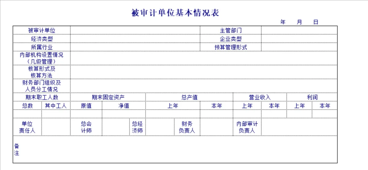 企业内部审计记录与审计报告Excel表格合集 - 第6页