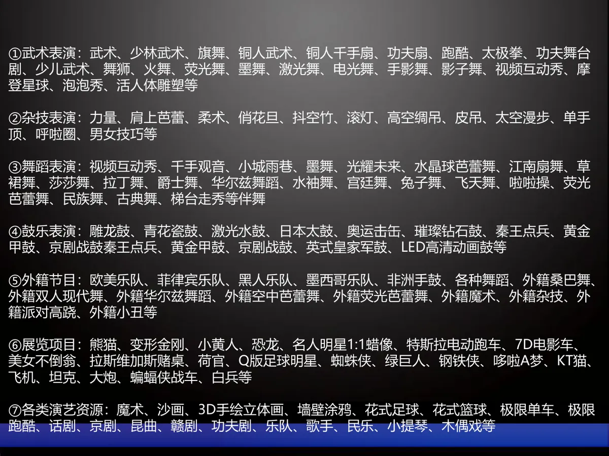 圣诞狂欢晚会节目策划演示PPT模板 - 第12页