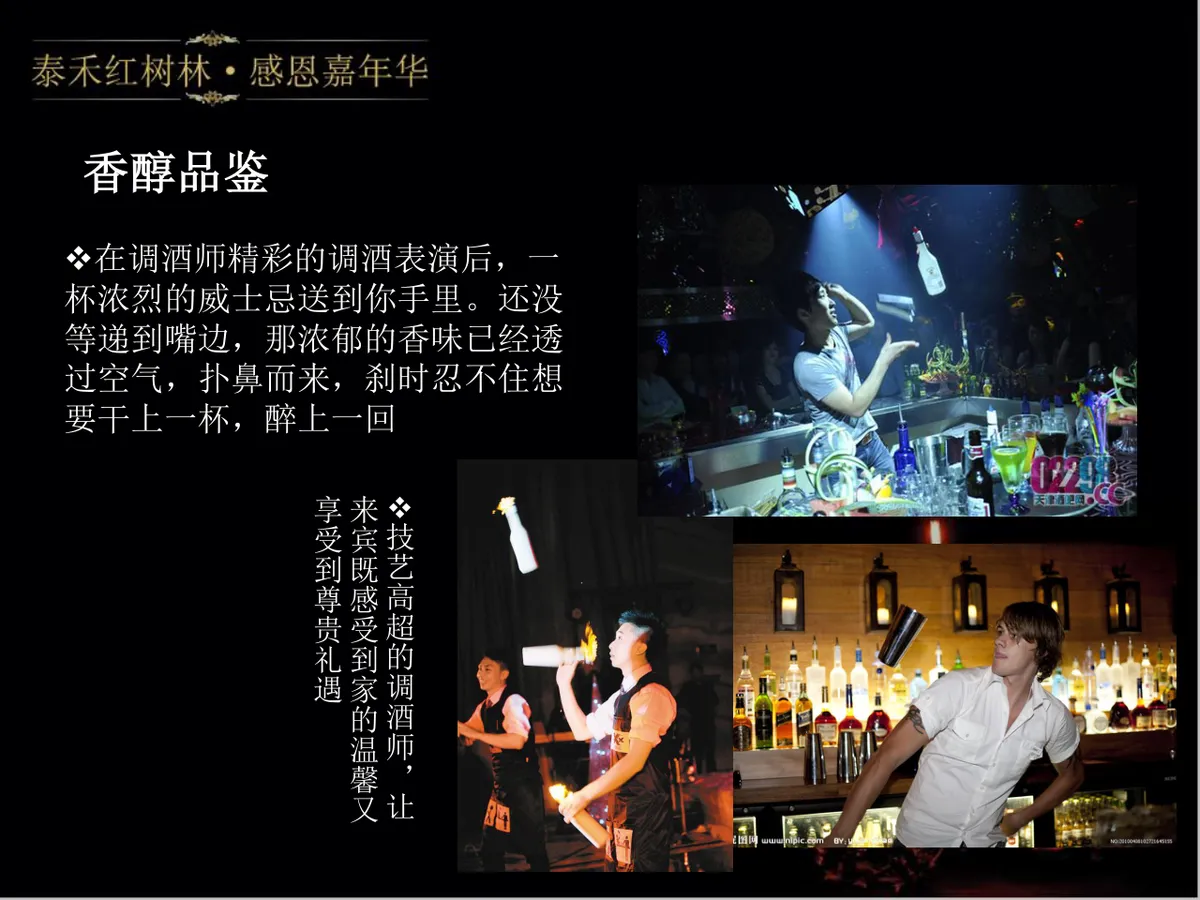 泰禾红树林感恩嘉年华活动策划方案PPT模板 - 第11页