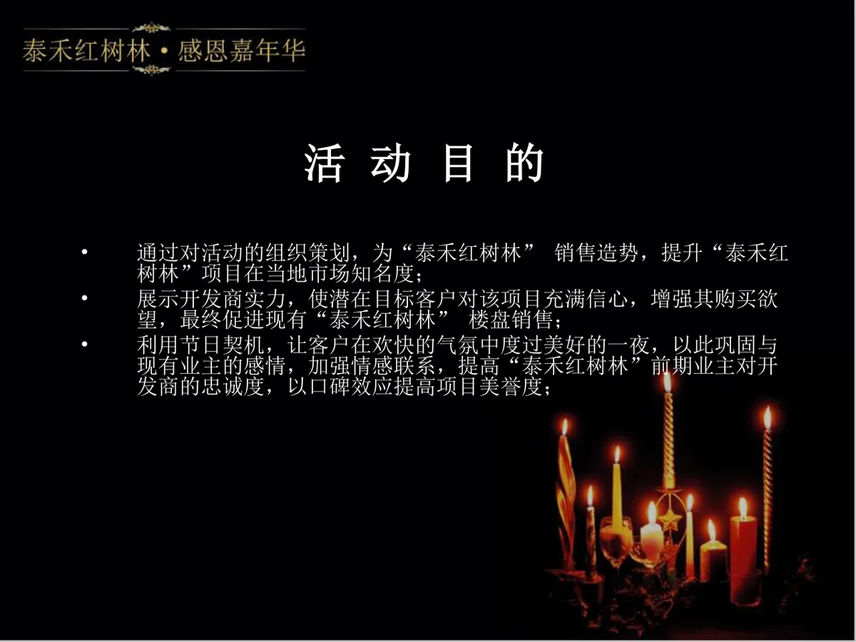 泰禾红树林感恩嘉年华活动策划方案PPT模板 - 第5页