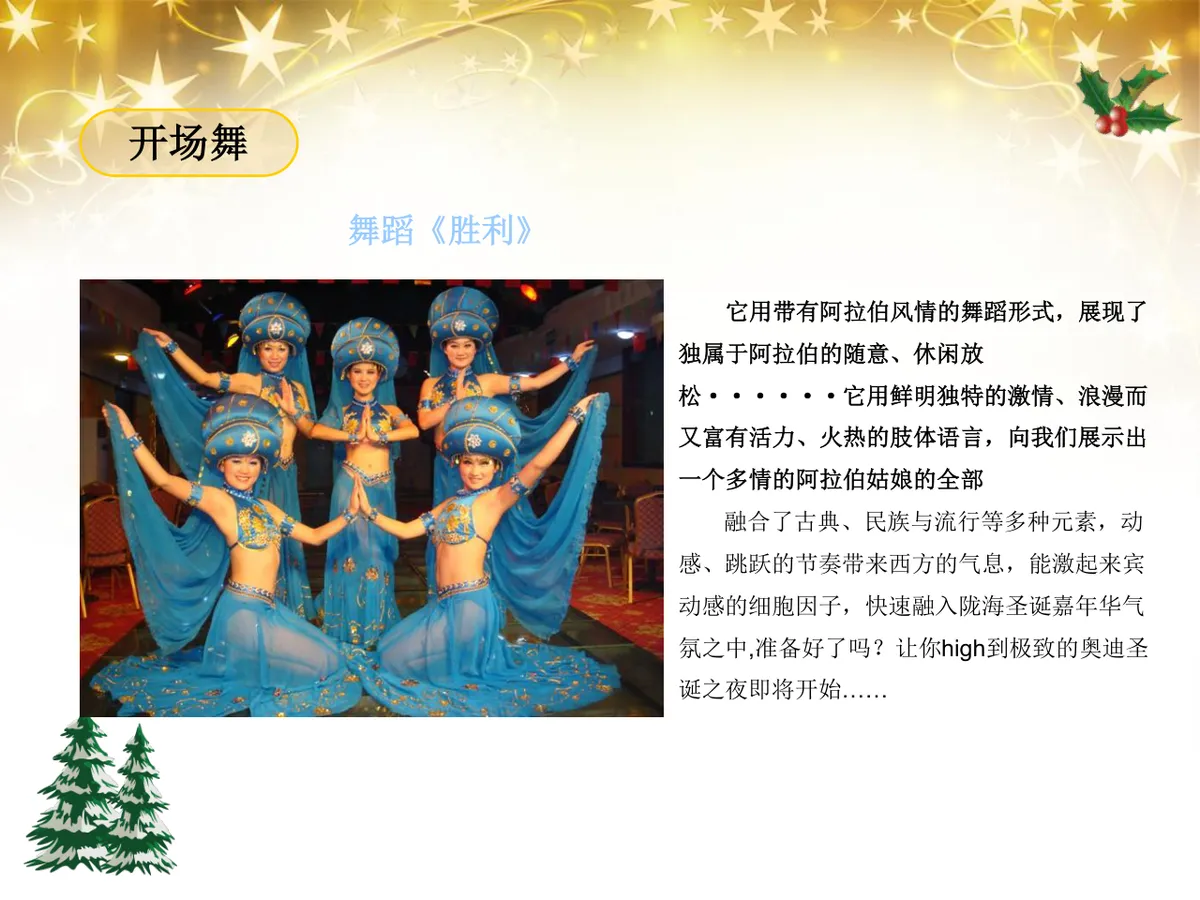 绚丽绽放圣诞之夜陇海大酒店圣诞嘉年华活动策划方案PPT模板 - 第13页
