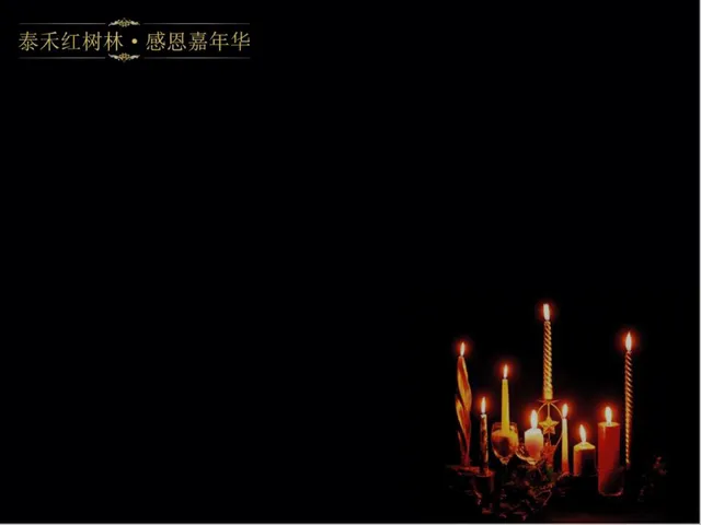 泰禾红树林感恩嘉年华活动策划方案PPT模板 - 封面预览