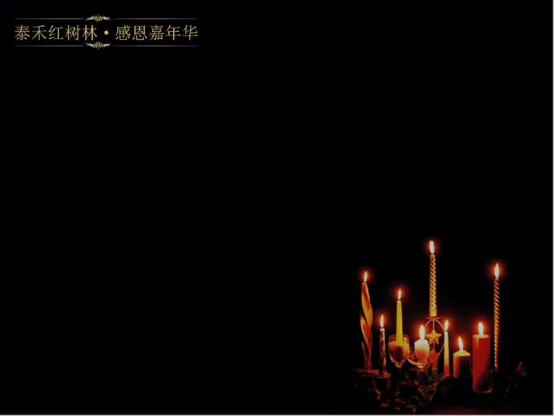 泰禾红树林感恩嘉年华活动策划方案PPT模板 - 封面预览