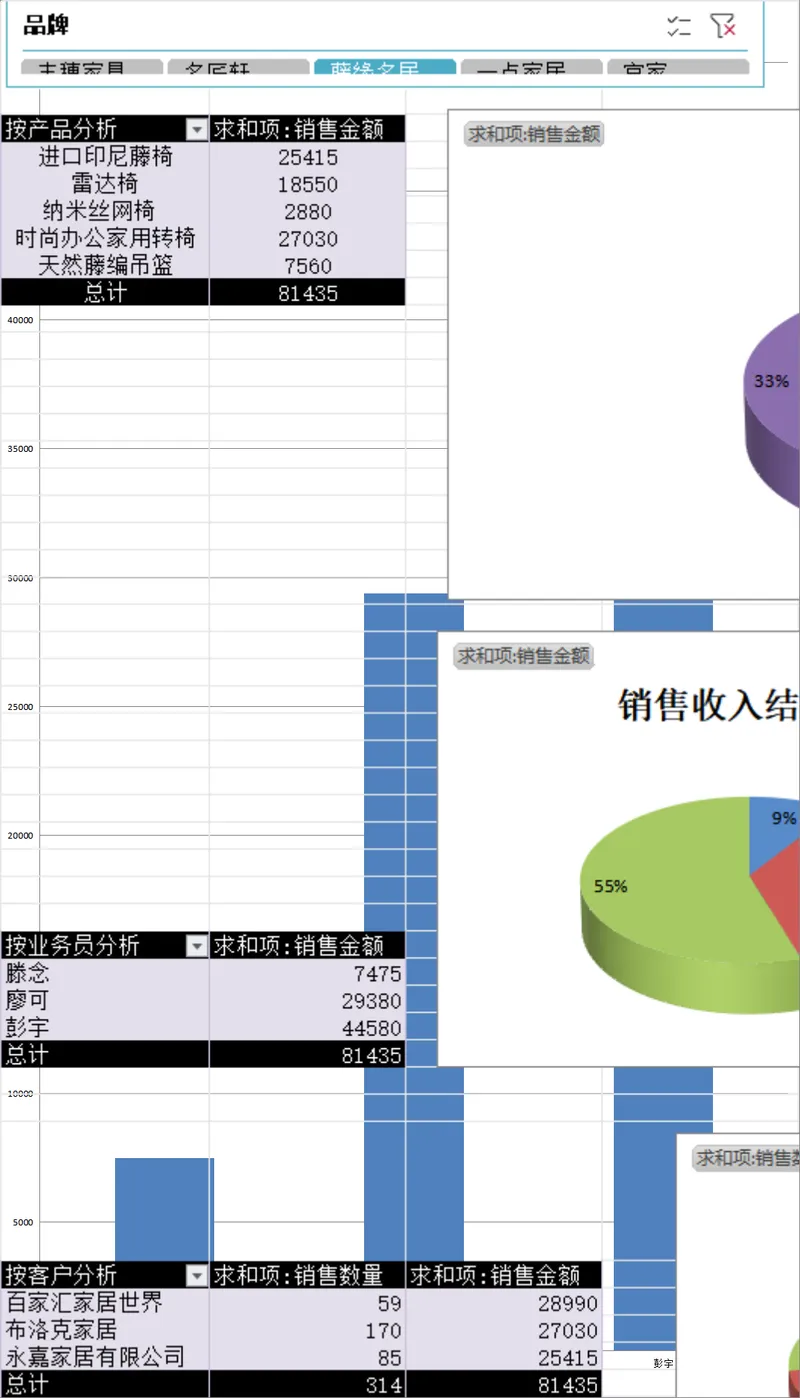 6月家居产品销售记录多维度数据分析Excel表格 - 封面预览