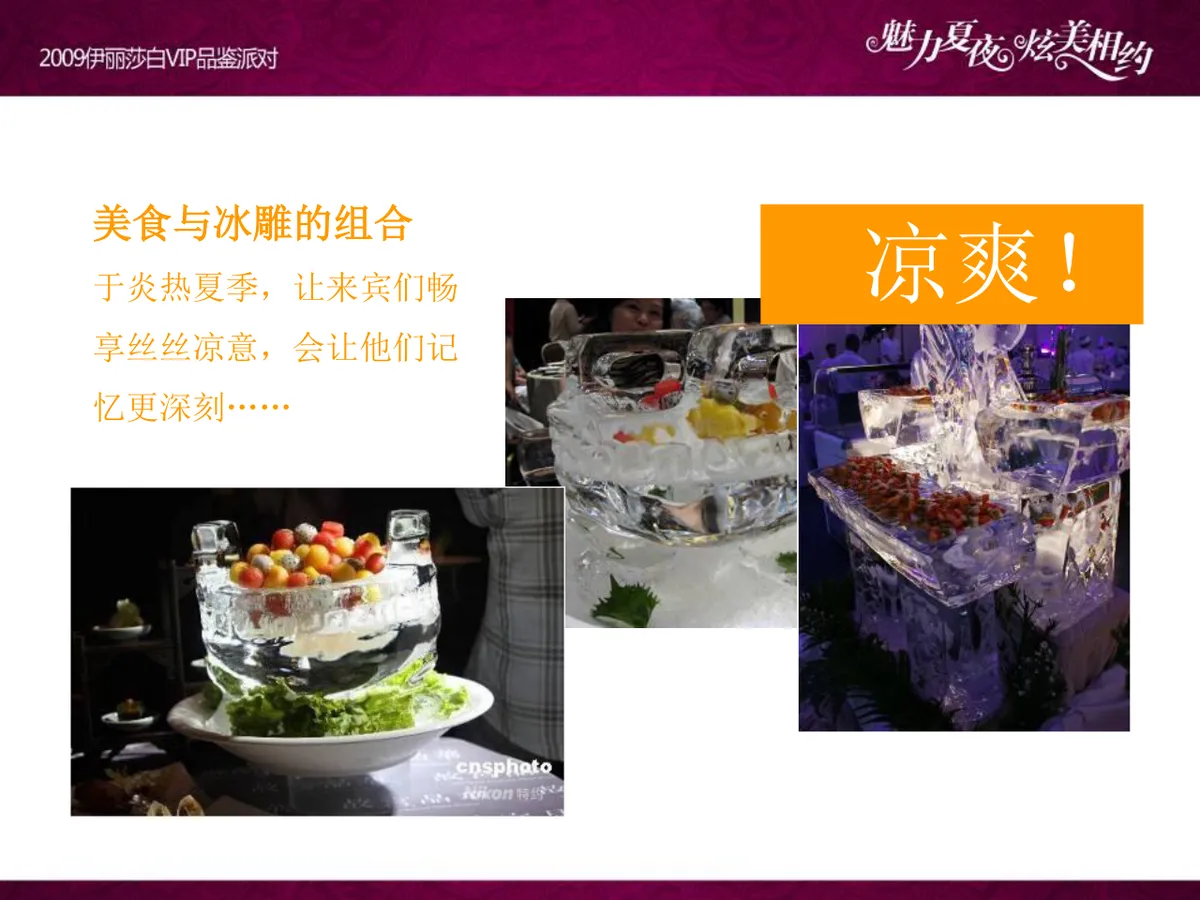 魅力夏夜炫美相约伊丽莎白VIP品鉴派对项目策划案PPT模板 - 第21页