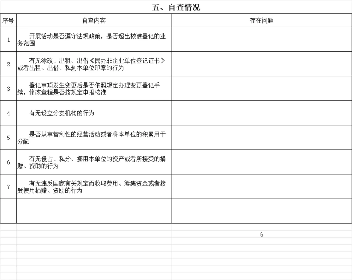 民办非企业单位年度检查报告书Excel表格 - 第6页