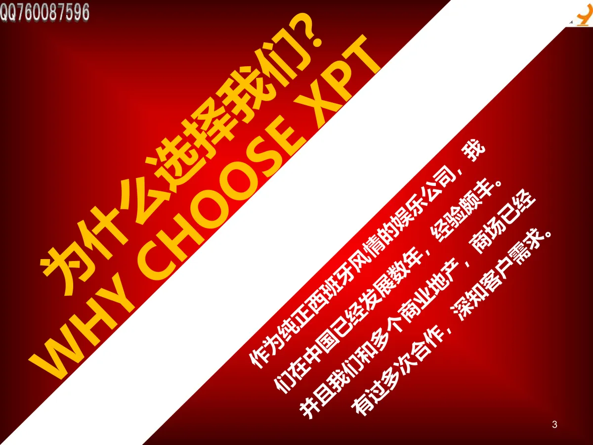 圣诞节特别派对活动企划方案PPT模板 - 第3页