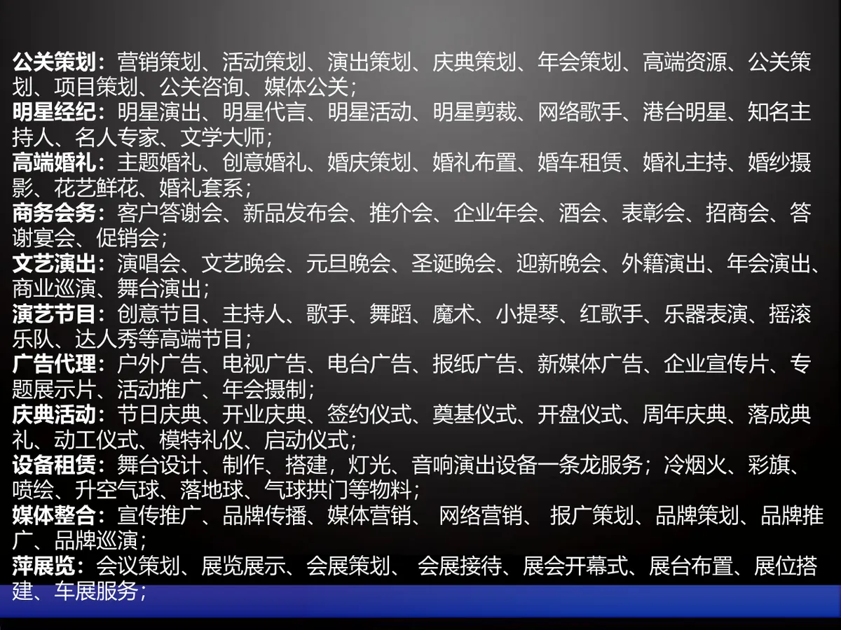 圣诞狂欢晚会节目策划演示PPT模板 - 第10页
