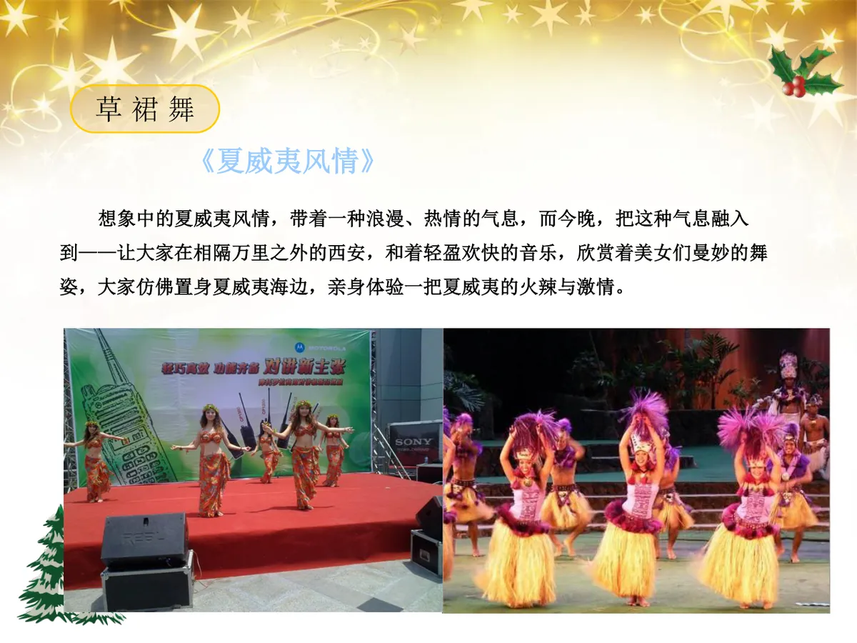 绚丽绽放圣诞之夜陇海大酒店圣诞嘉年华活动策划方案PPT模板 - 第20页
