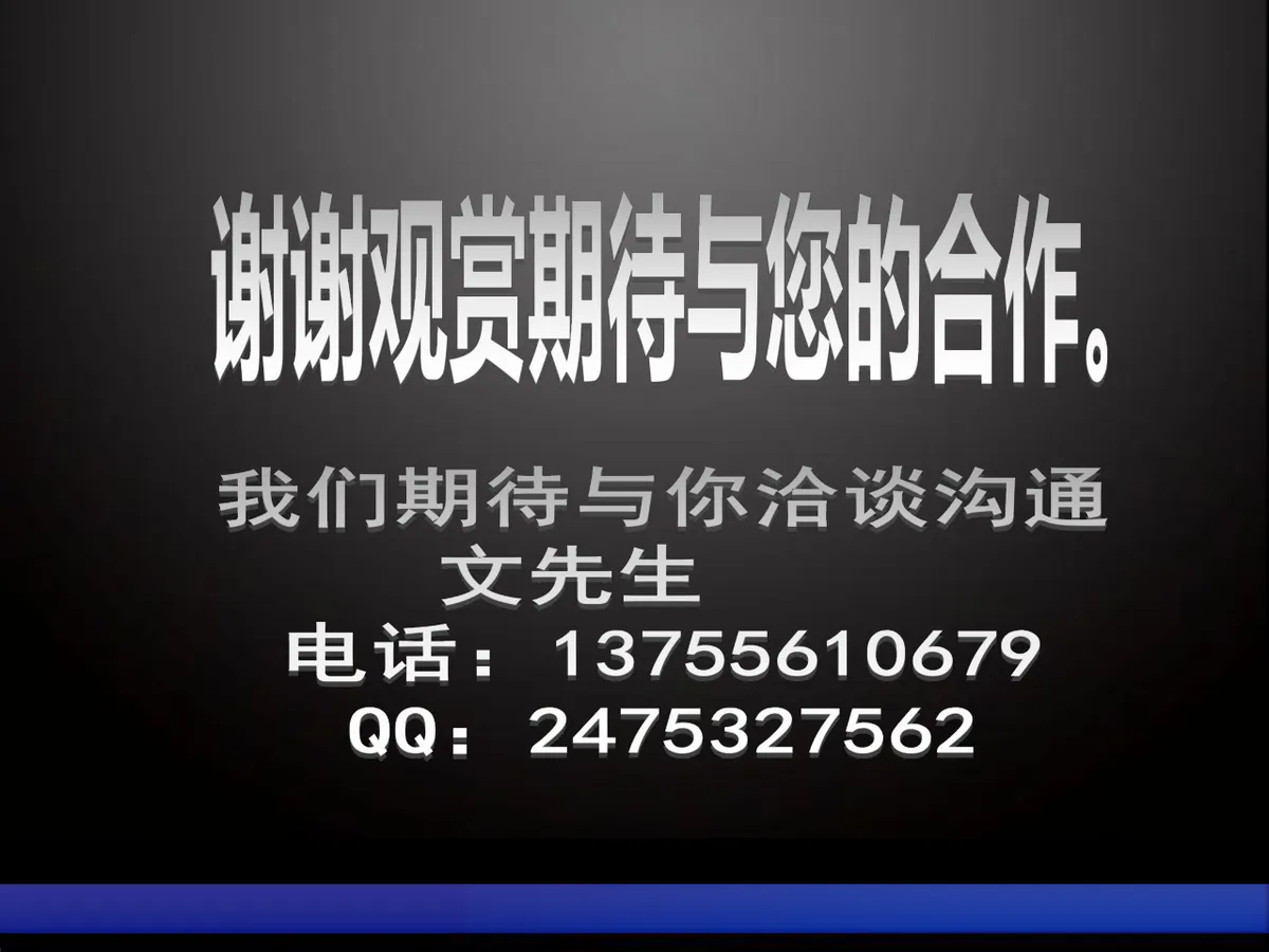 圣诞狂欢晚会节目策划演示PPT模板 - 第14页