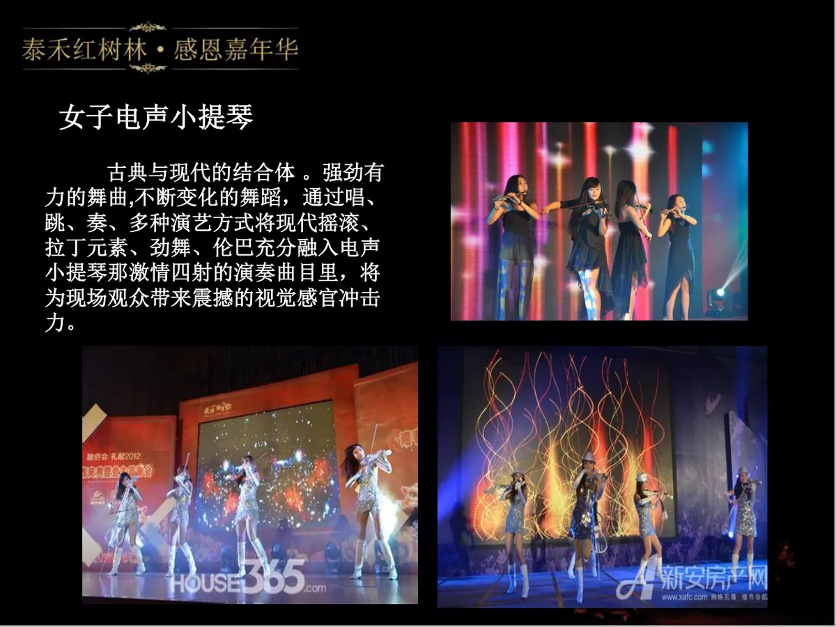 泰禾红树林感恩嘉年华活动策划方案PPT模板 - 第14页