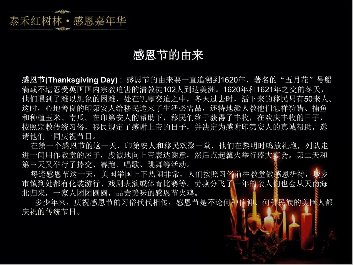 泰禾红树林感恩嘉年华活动策划方案PPT模板 - 第3页