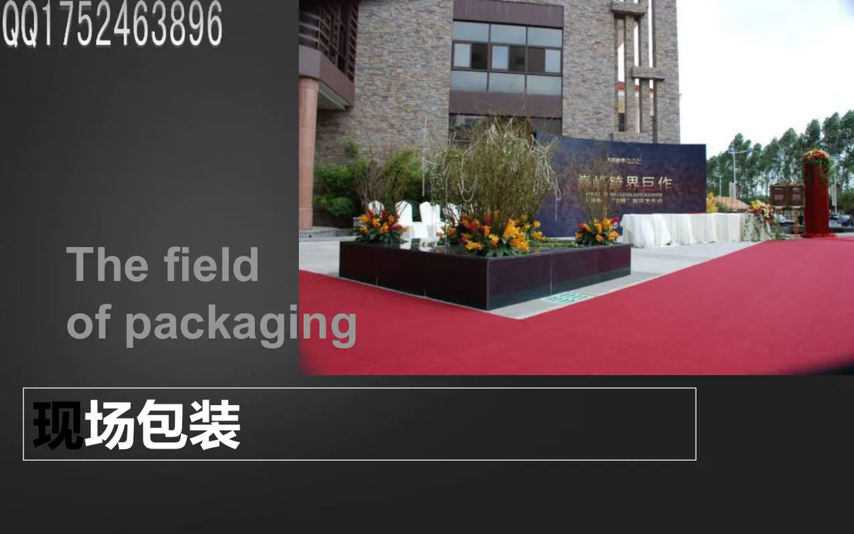 名流之约拉斯维加斯之夜CASINO主题派对活动策划方案PPT模板 - 第21页