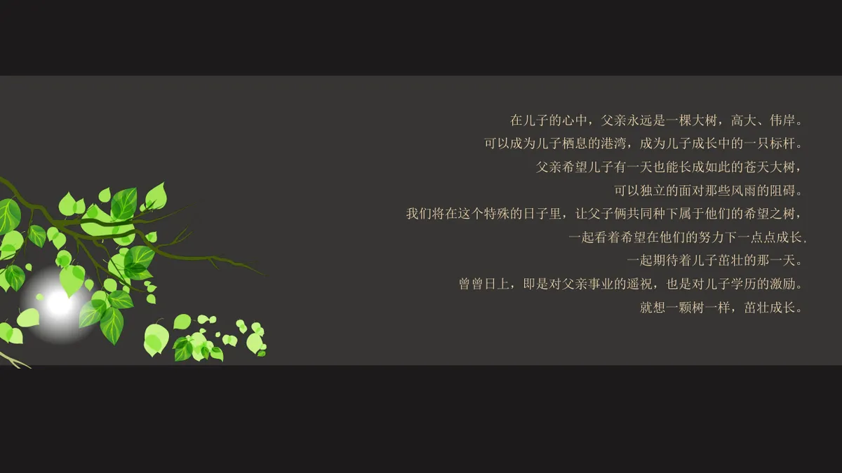 碧桂园钻石墅圈层定制活动方案第一季PPT模板 - 第4页
