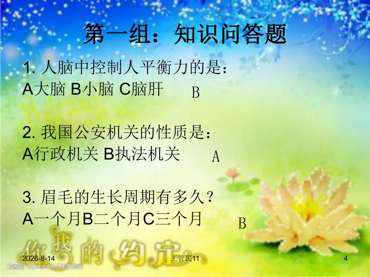 共青团主题团日活动团课演示PPT模板 - 第4页